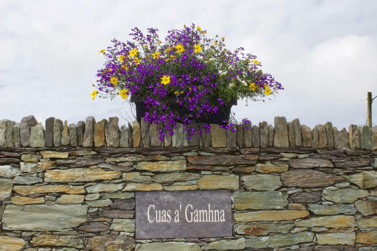 Cuas A' Gamhna Bed & Breakfast Valentia Island Exterior photo